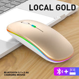 Mouse Portátil Bluetooth sem fio recarregável Luminoso 2.4G USB com LED, para MacBook Pro e MacBook Air, iPad, iPad Pro. Recarregável. (preto, branco, prata e ouro)